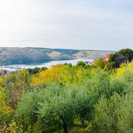 Mirko R * لوبار